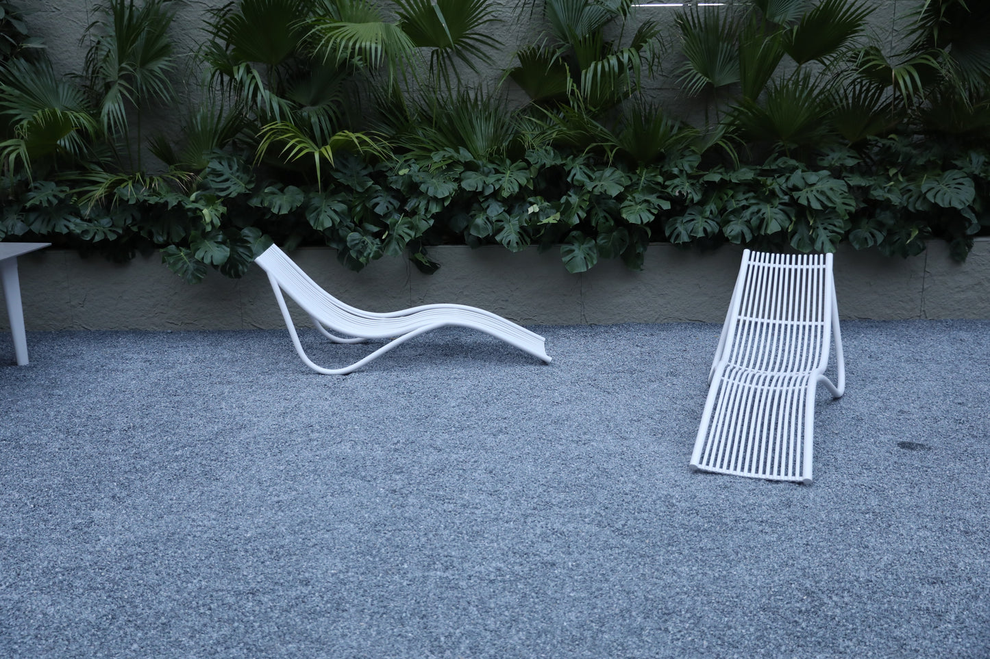 Sun Loungers 1