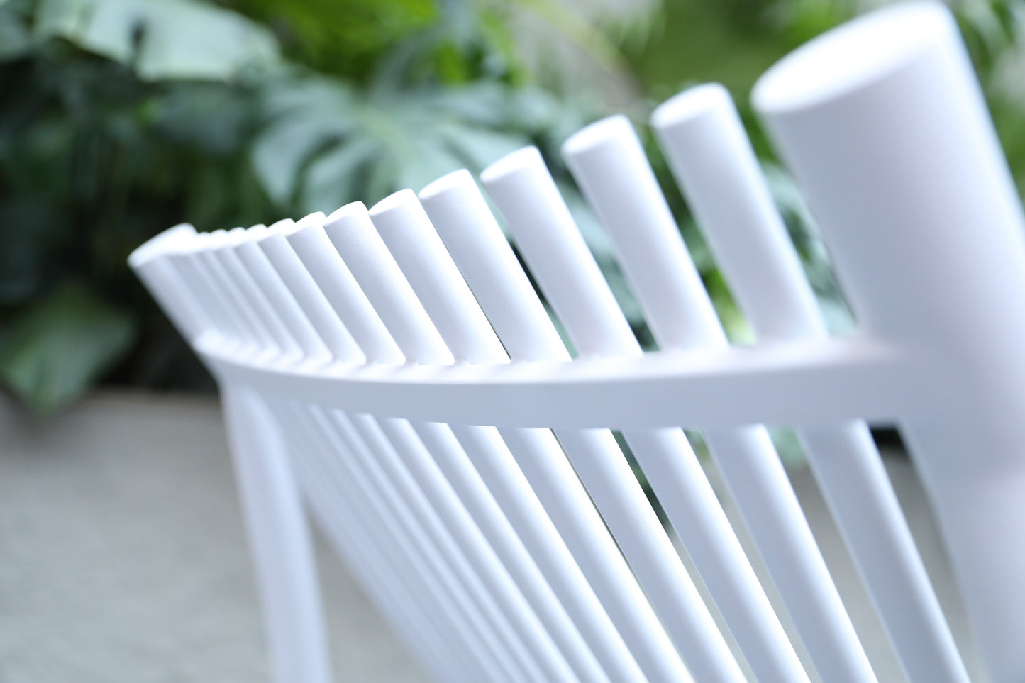 Sun Loungers 1