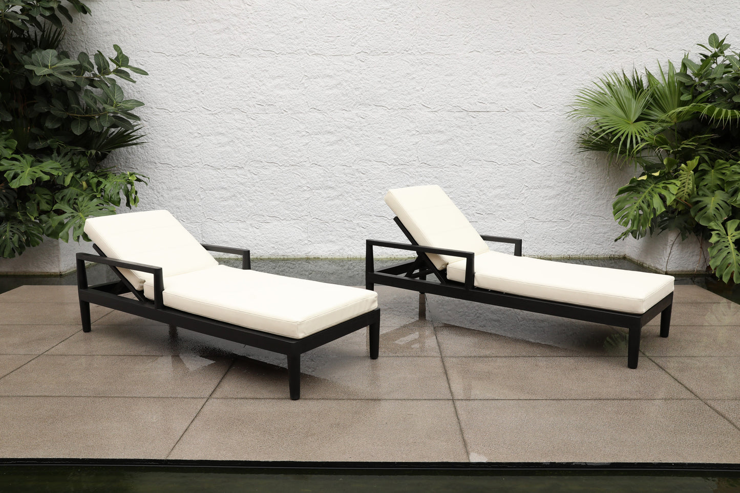 Sun Loungers 22