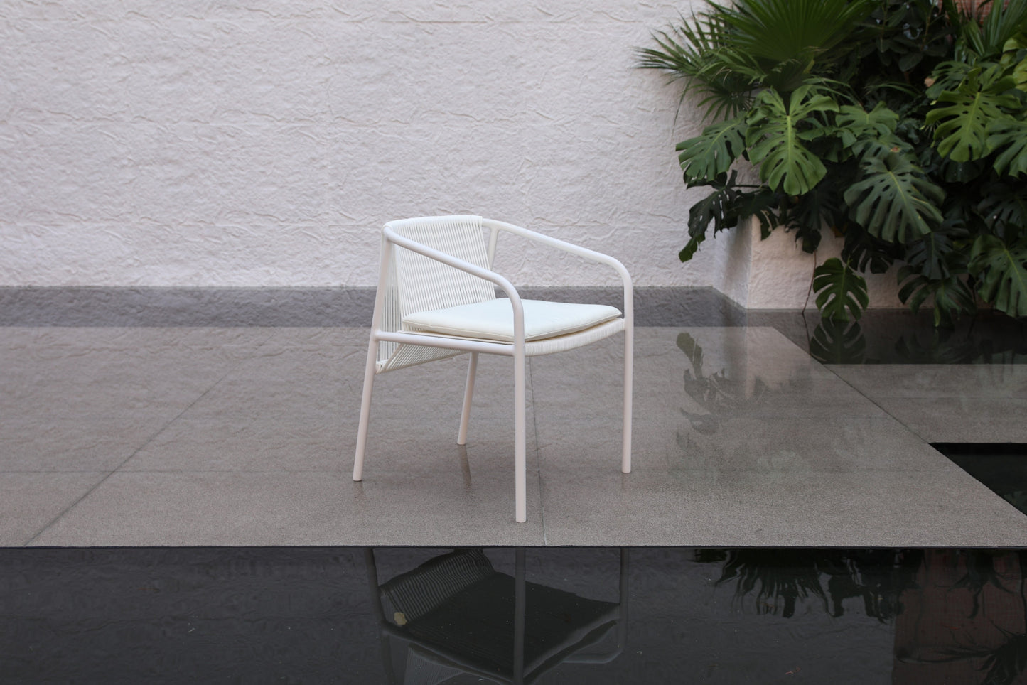 Dining Chair