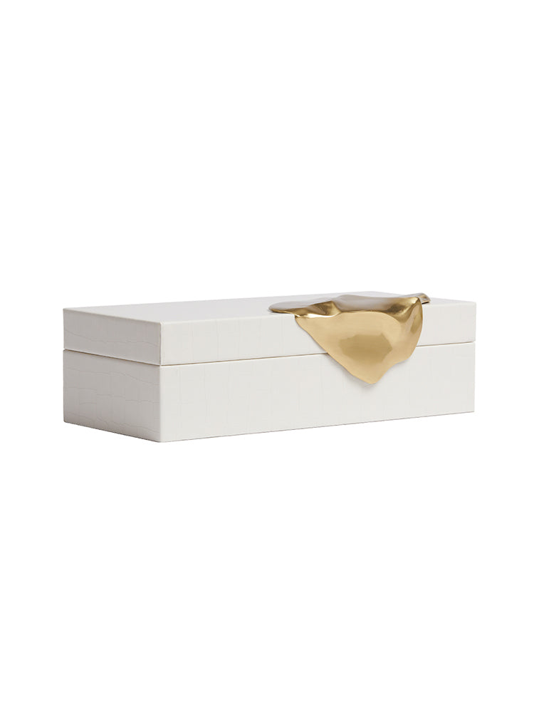 HE163X01 ginger tide box