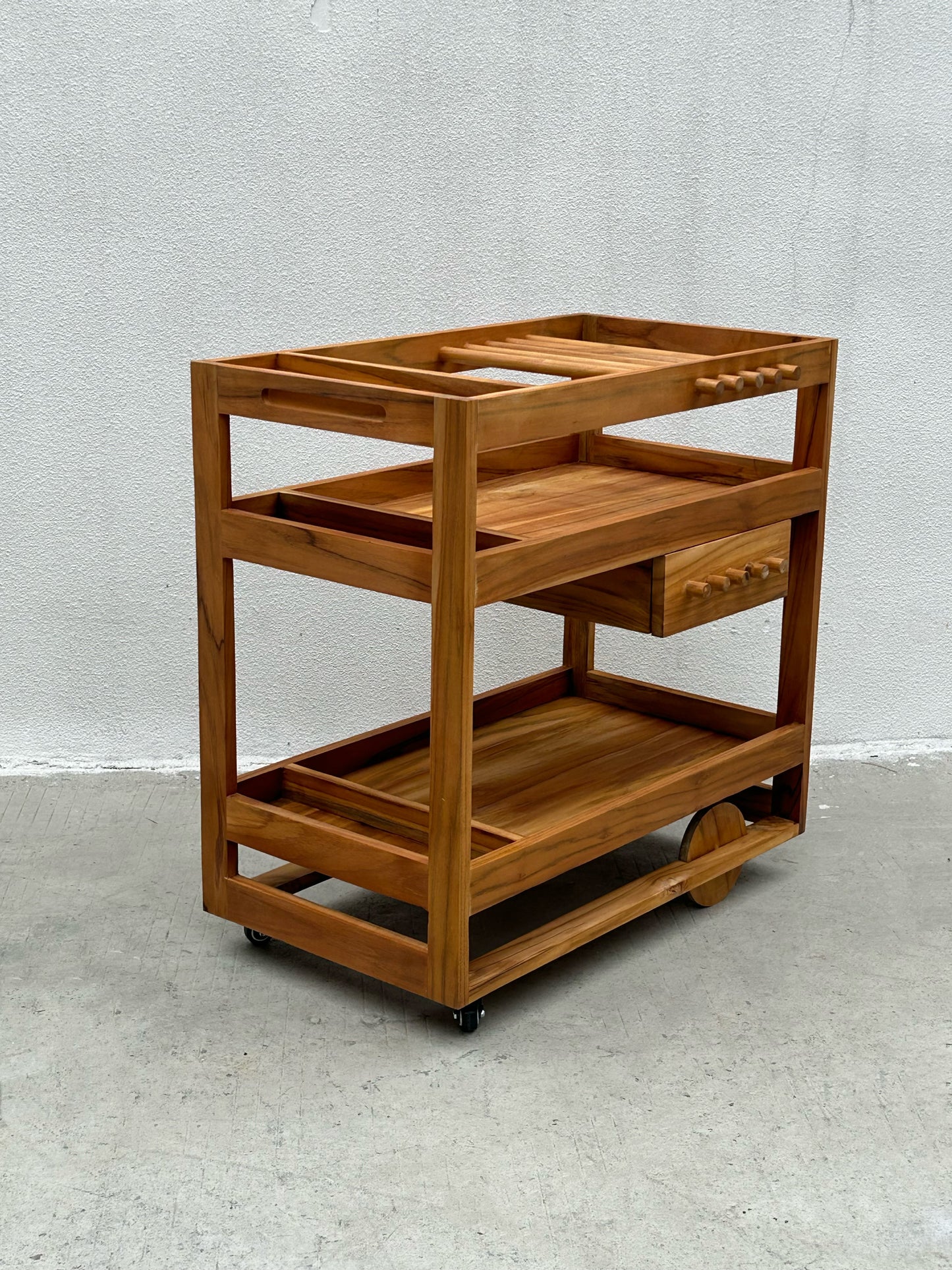 Pushing food cart 10