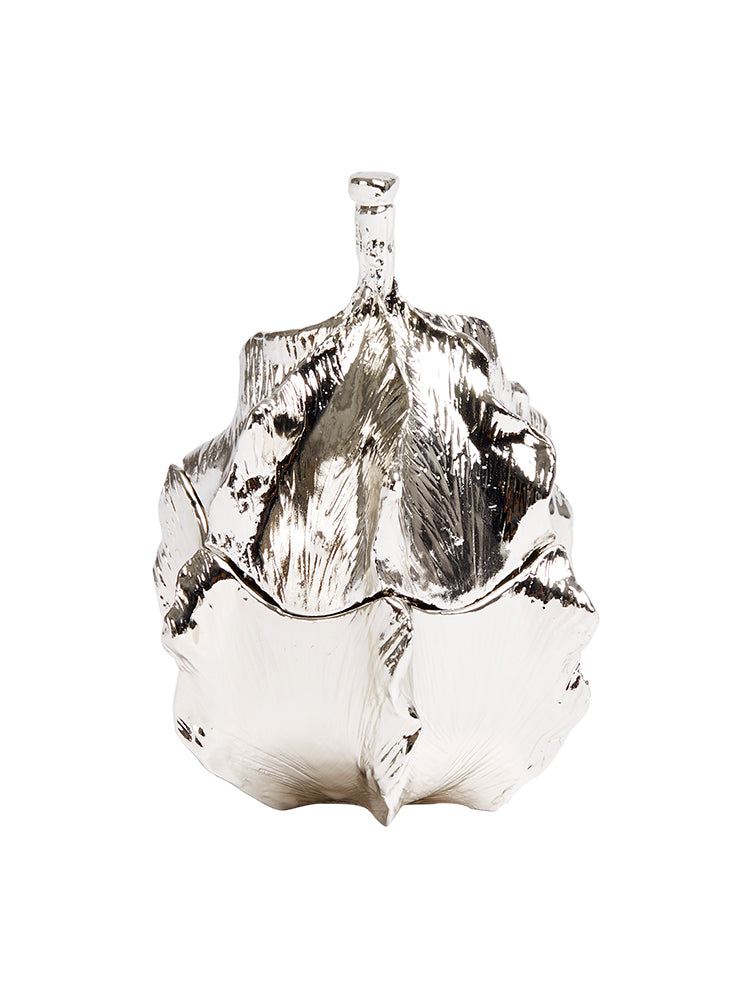 JS567X02 fruit storage box D