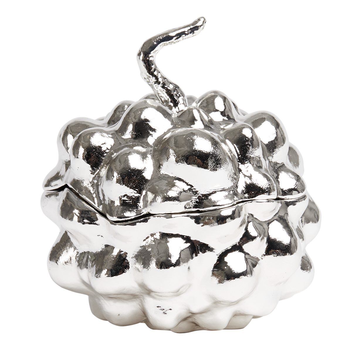 JS567X02 fruit storage box