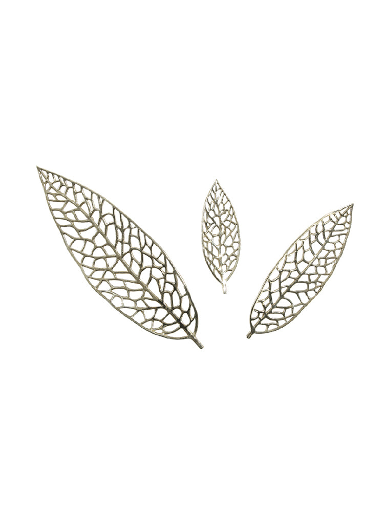JS680X01 leaf veins