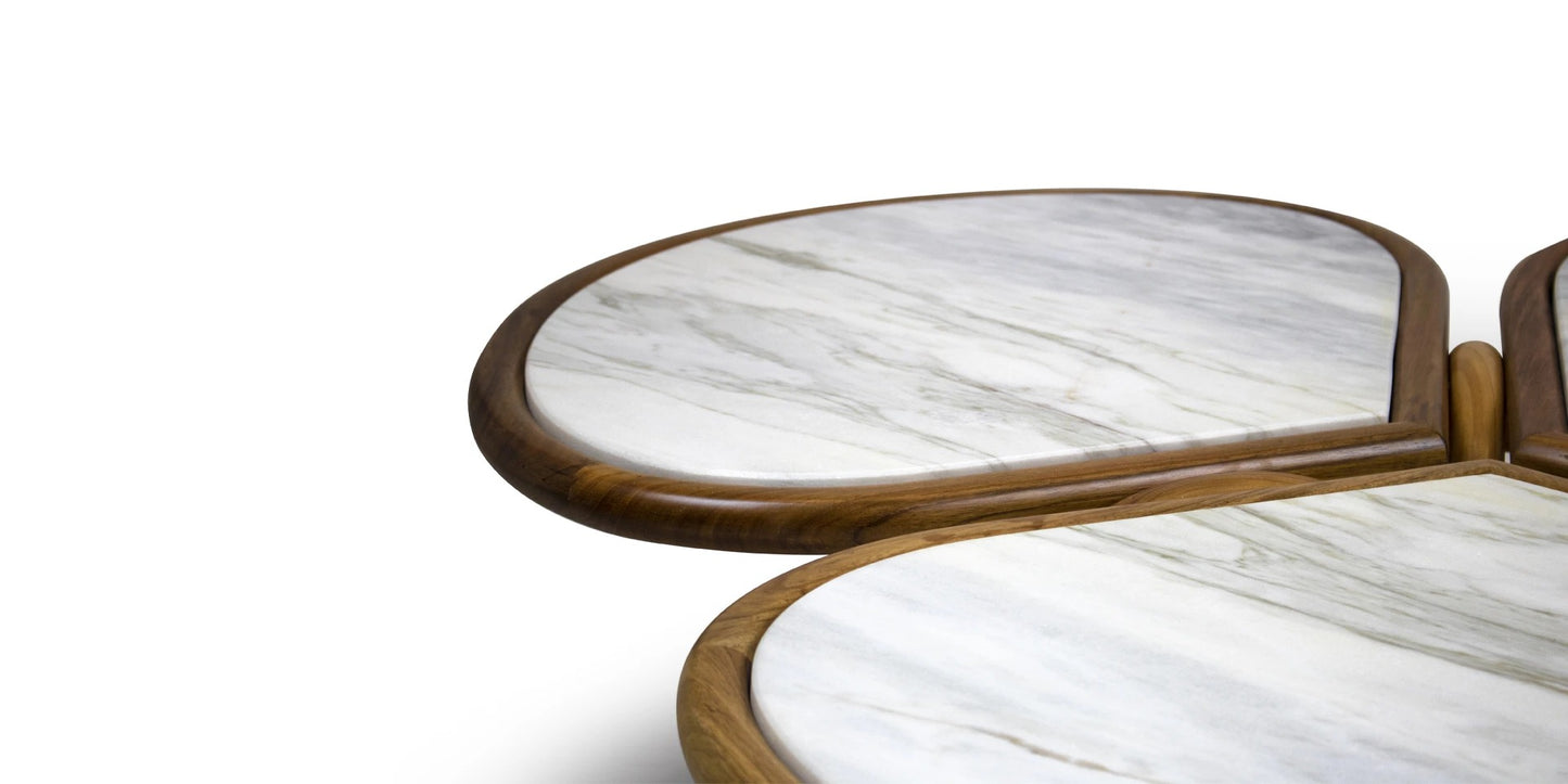 Alma De Luce Roatan Coffee Table