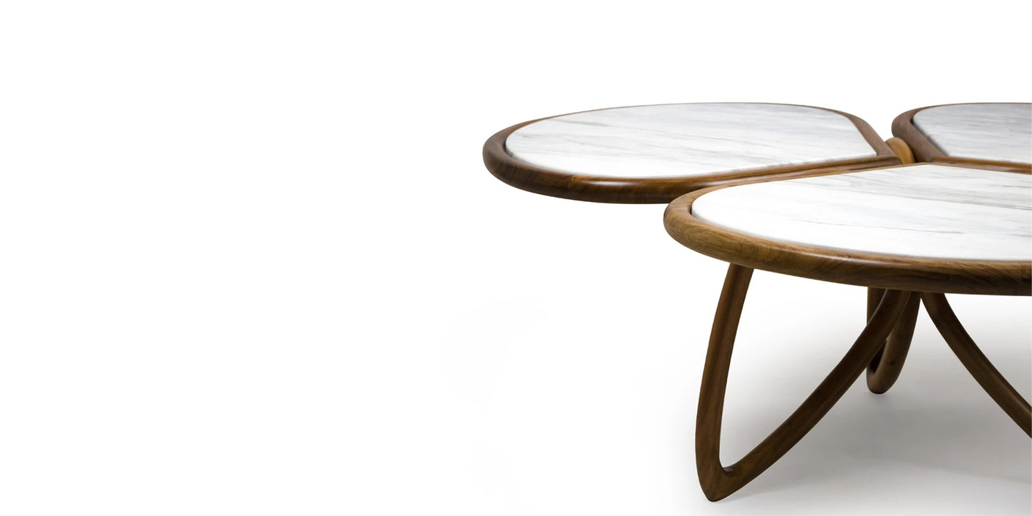 Alma De Luce Roatan Coffee Table