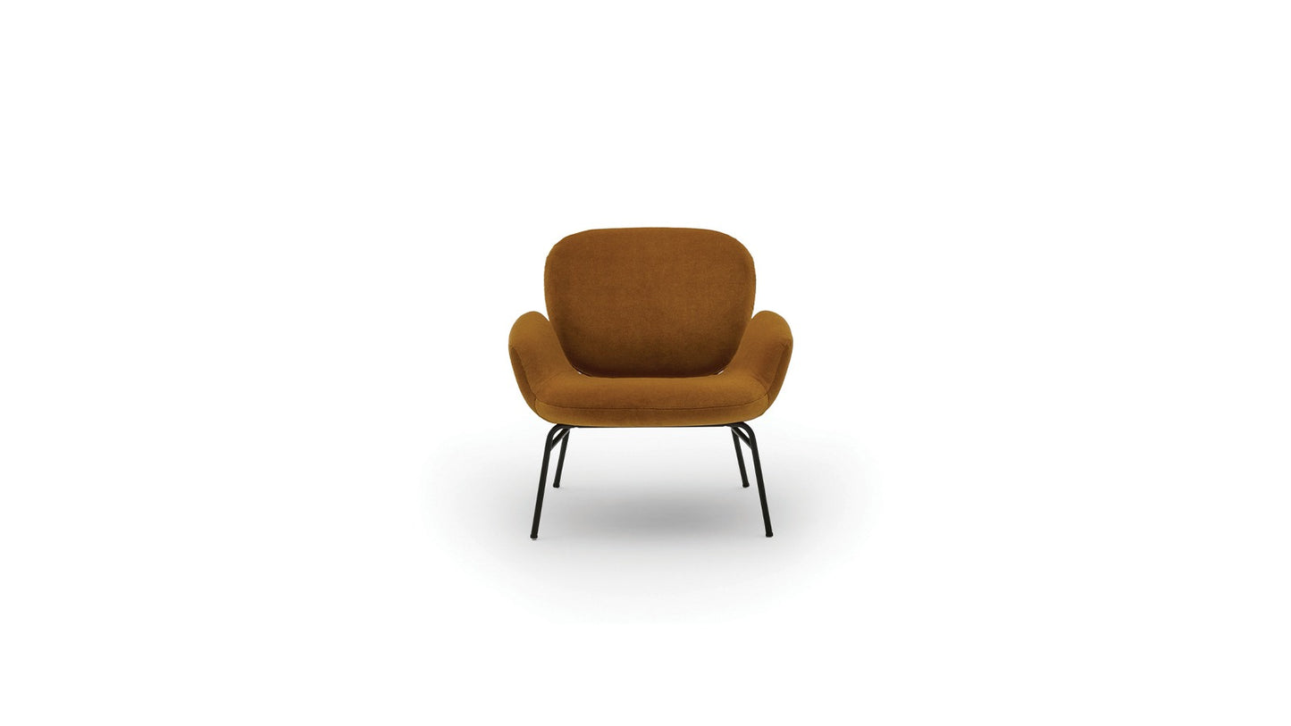 Arflex Momo Leisure Chair
