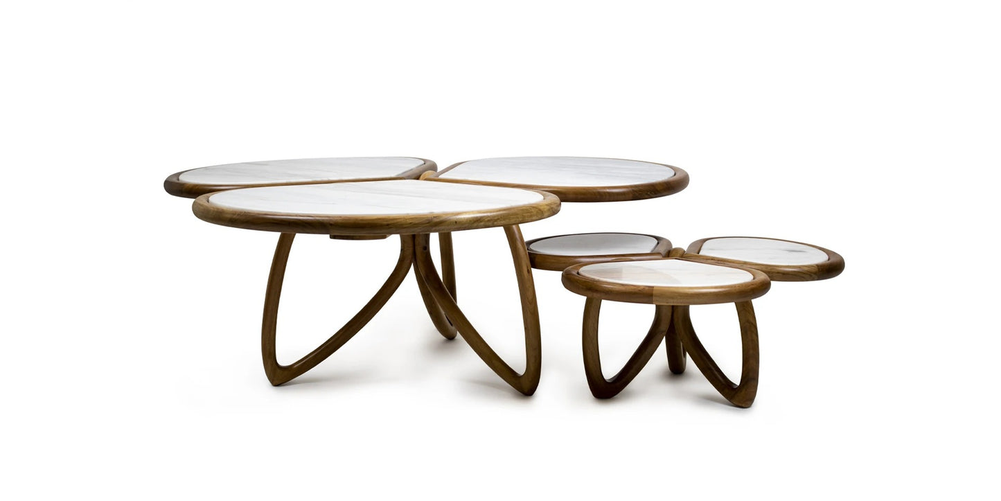 Alma De Luce Roatan Coffee Table