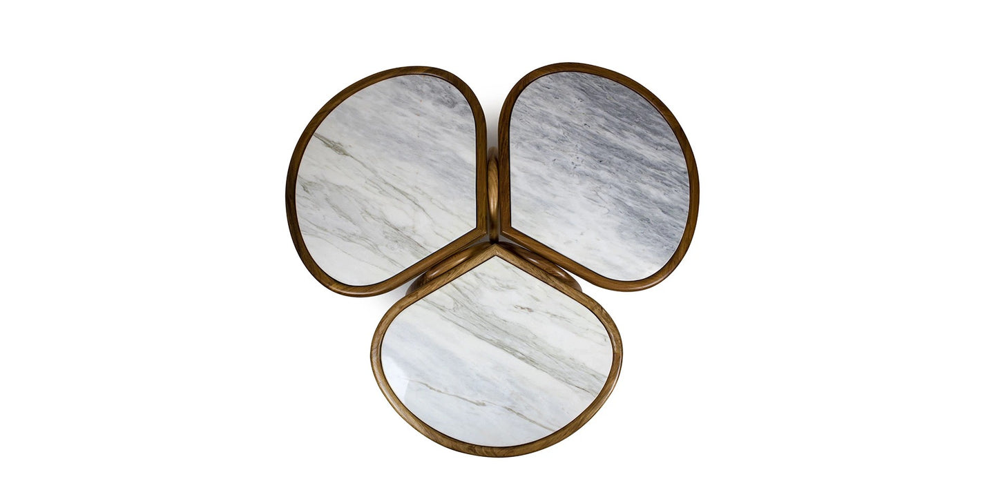 Alma De Luce Roatan Coffee Table