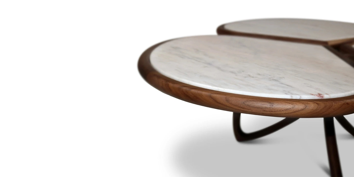 Alma De Luce Roatan Coffee Table