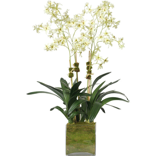 Cream Oncidium Orchid Arrangement