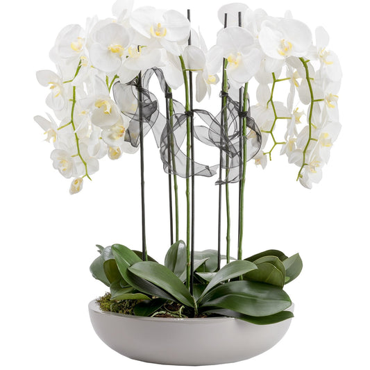 Orchid With Taupe Bowl