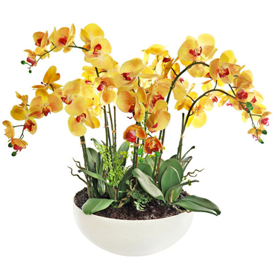Yellow Phalaenopsis Orchid Arrangement