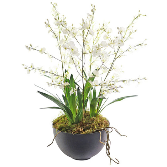 White Dancing Orchid with Leaves Arrangement