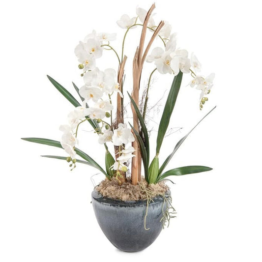 White Orchids Arrangement