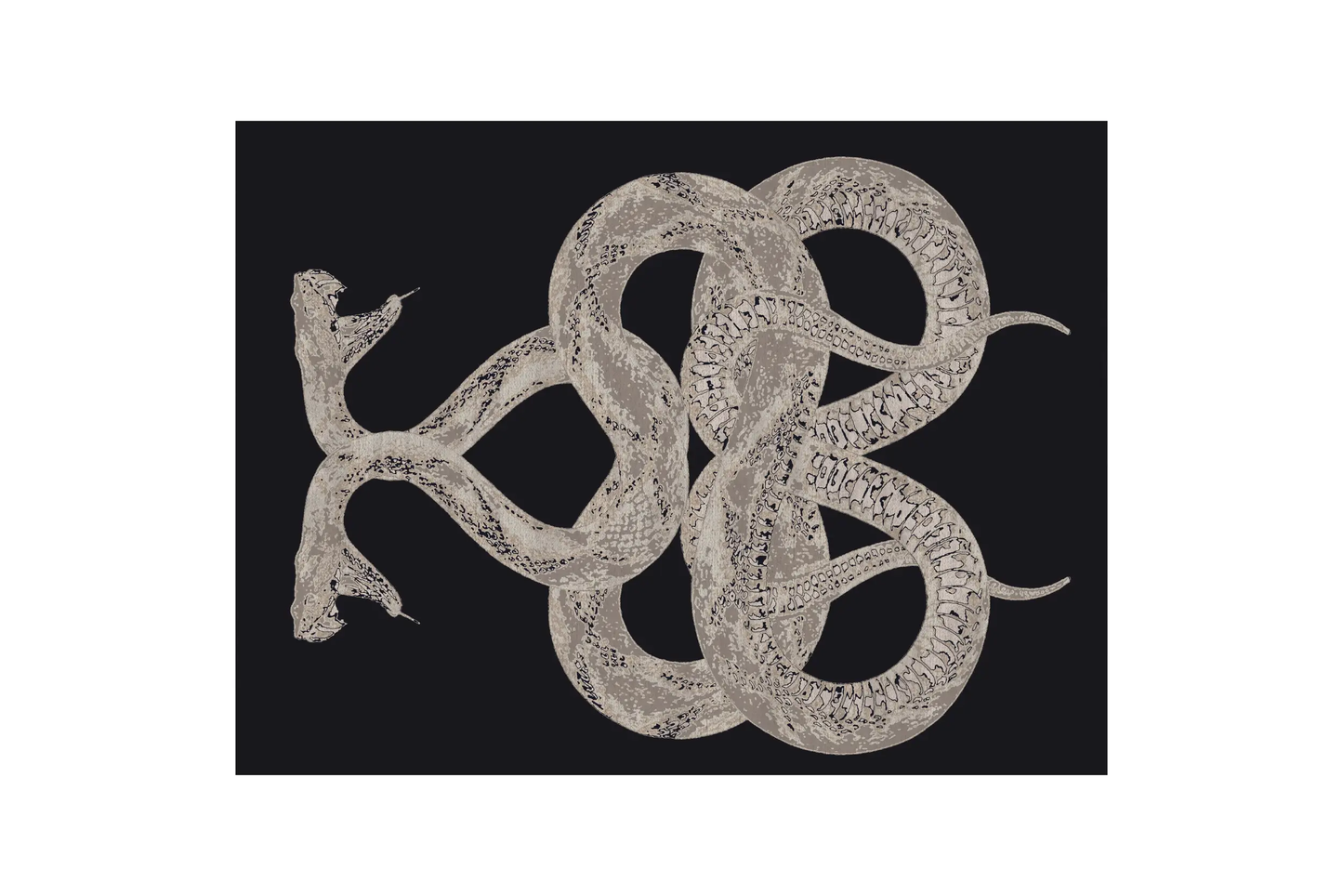 Roberto Cavalli Anake Rug