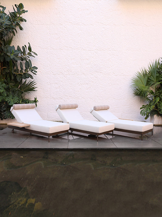 Sun Loungers 24