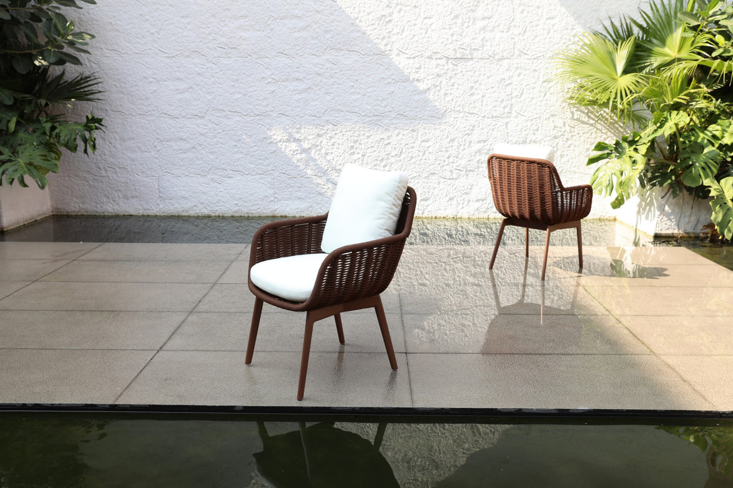 Dining Chair 22