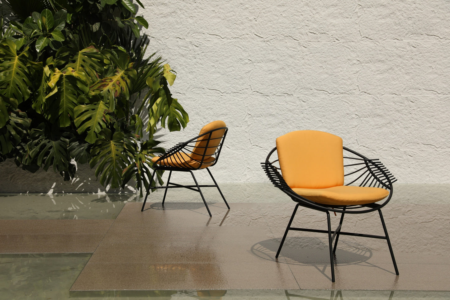 Dining Chair 29