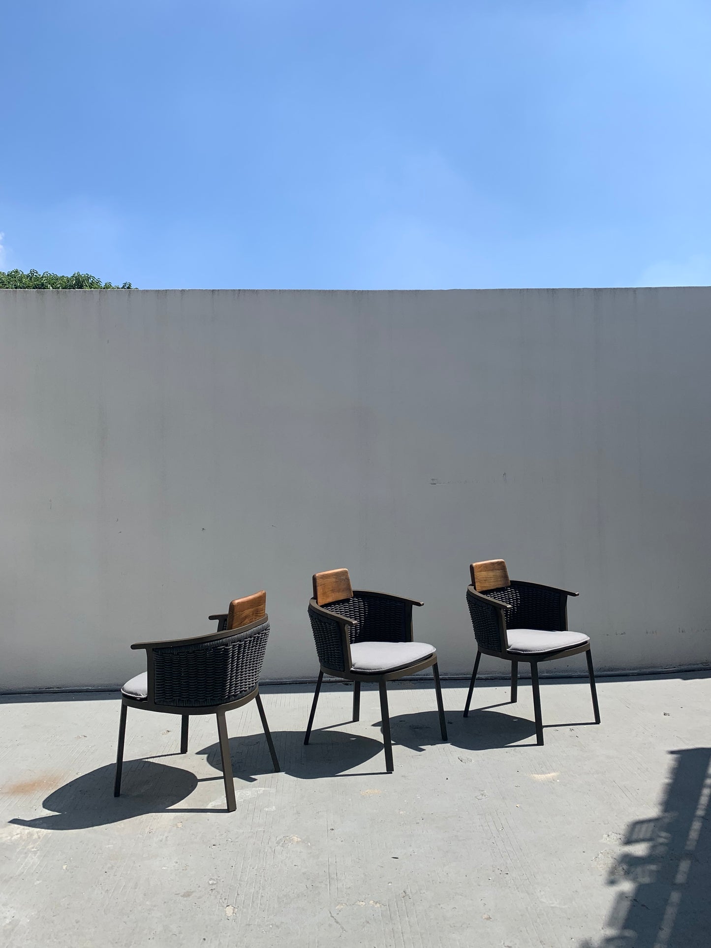 Dining Chair 31