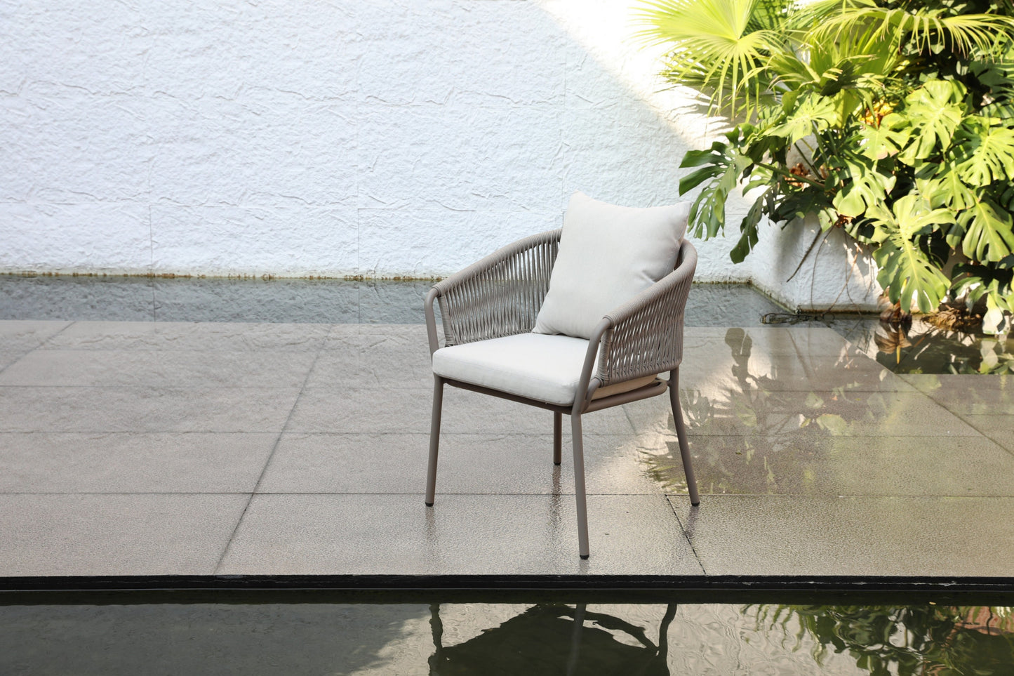 Dining Chair 33