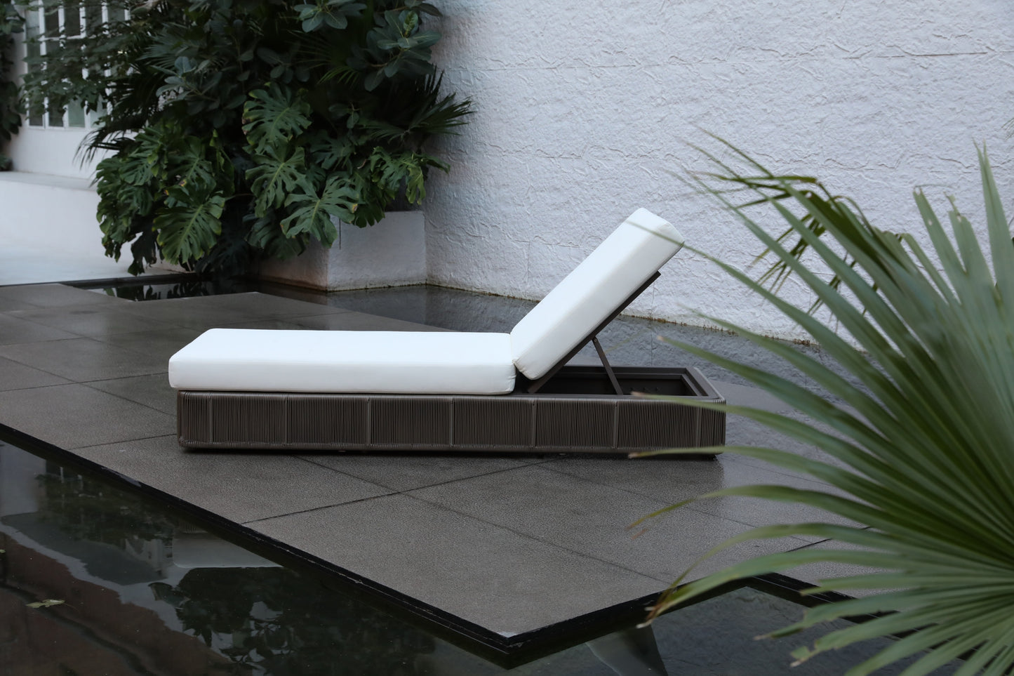 Sun Loungers 31