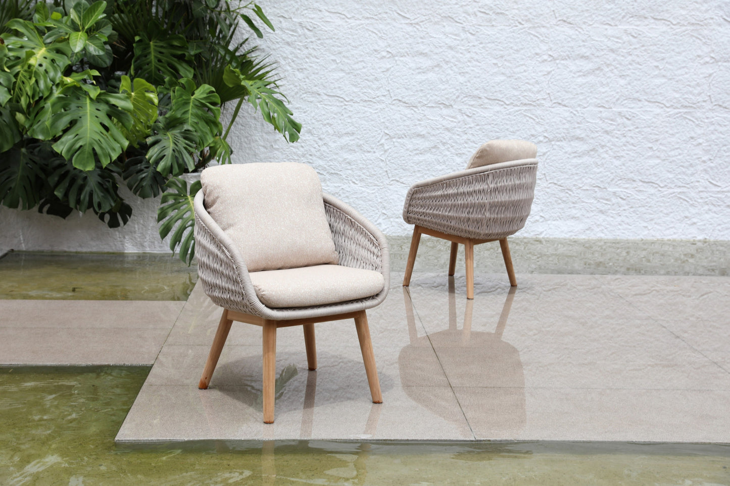 Dining Chair 81