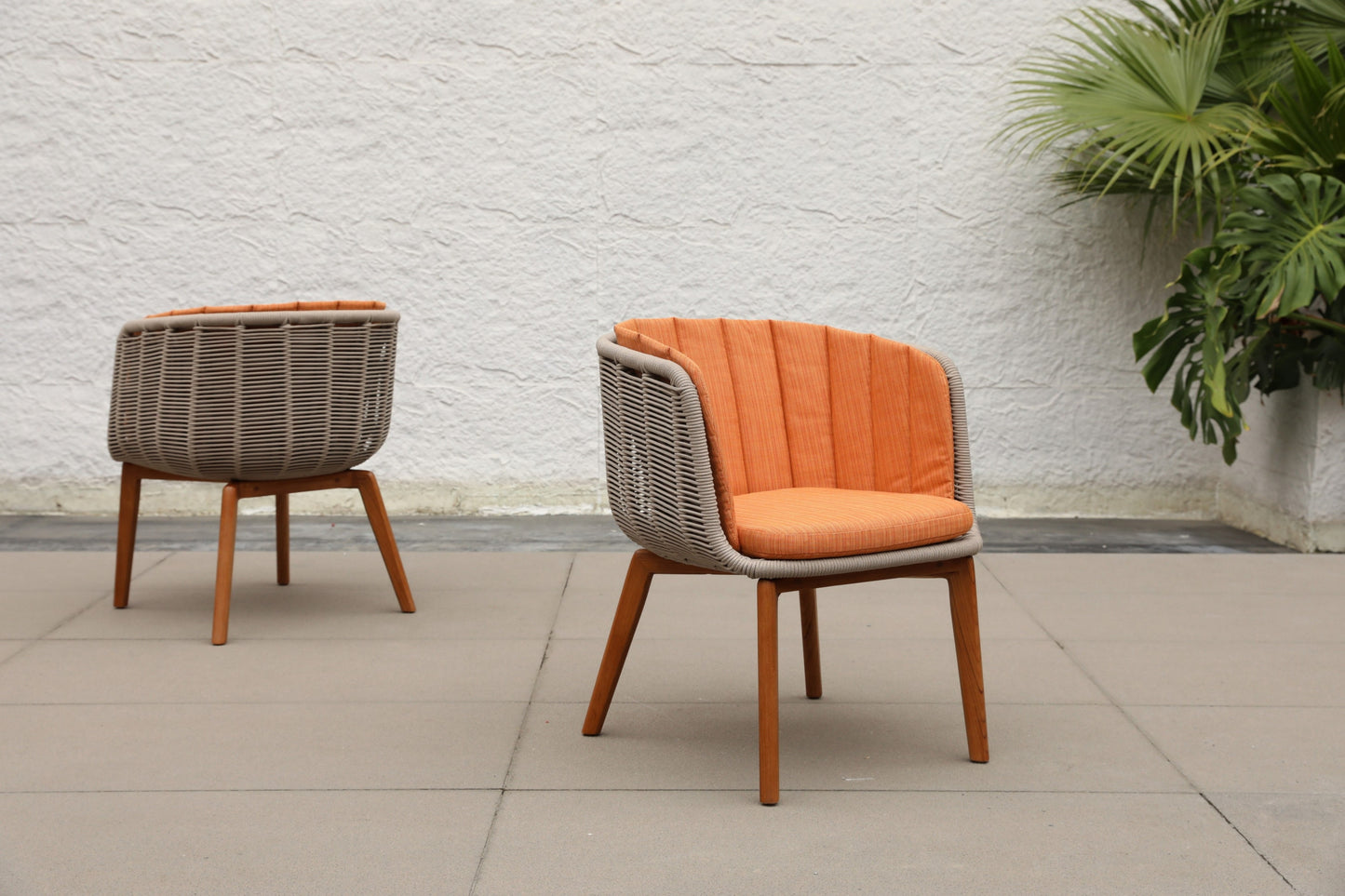 Dining Chair 39