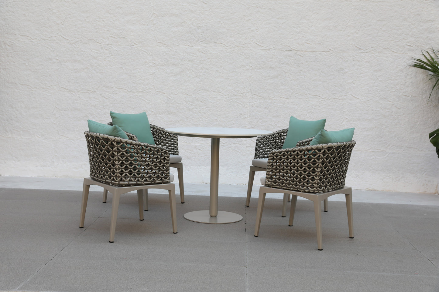Dining Table Set-45