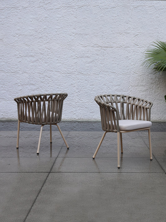 Dining Chair 47