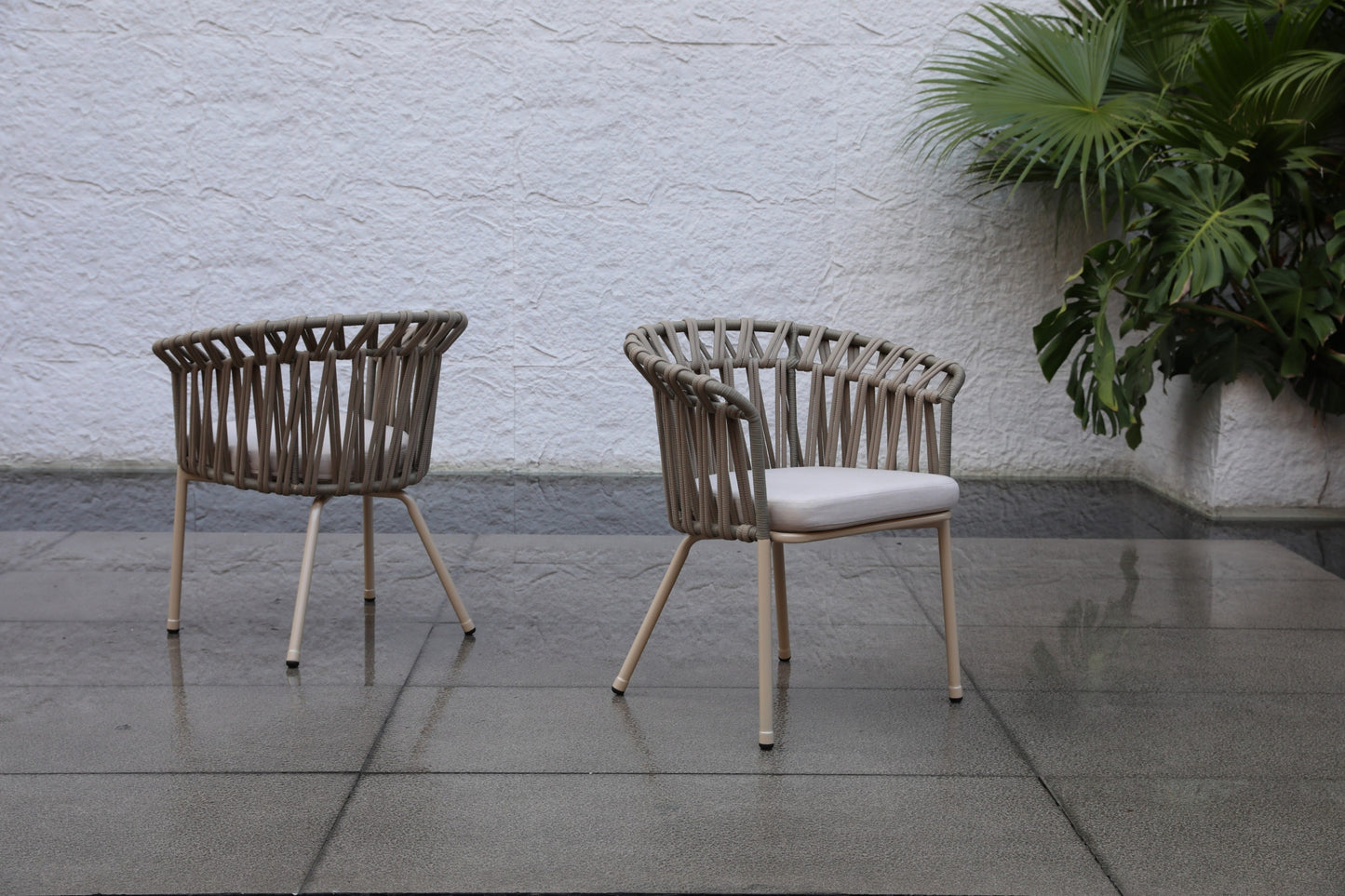 Dining Chair 47