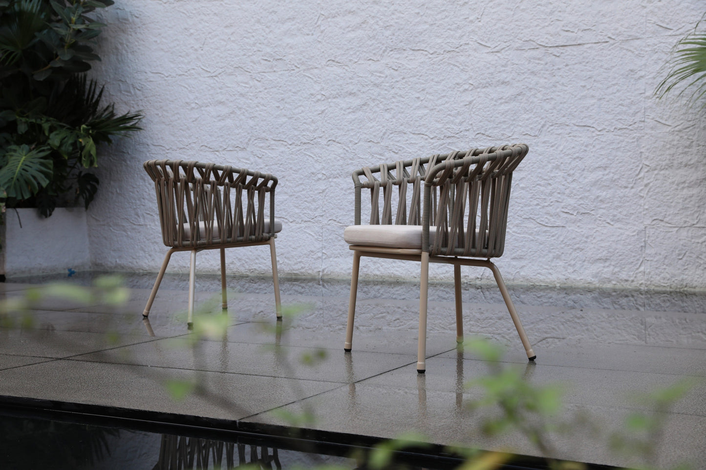 Dining Chair 47