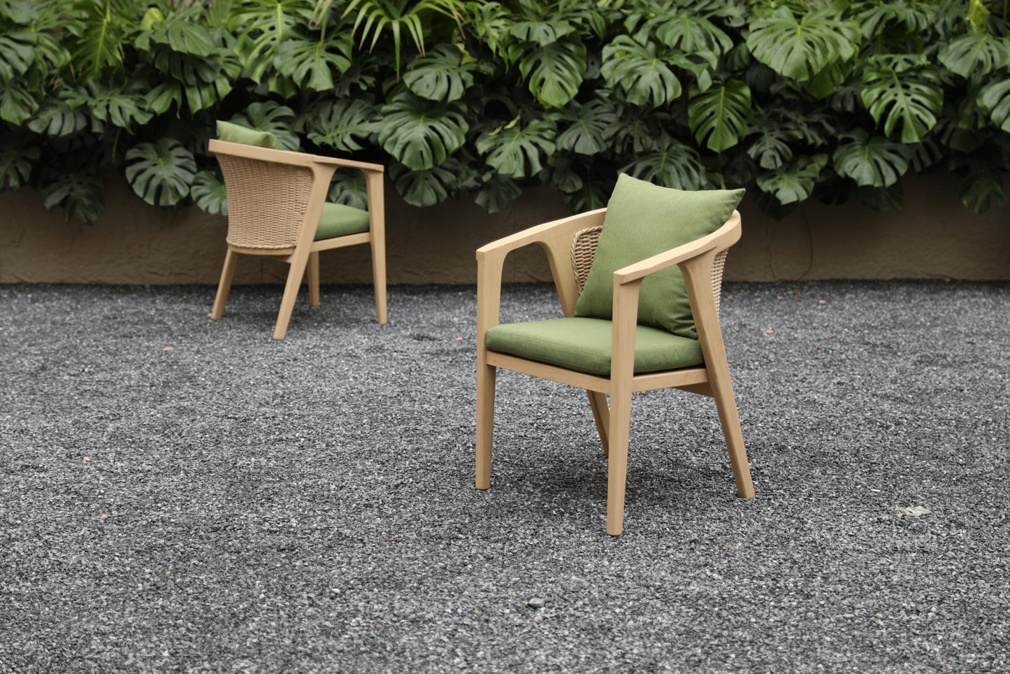 Dining Chair 55