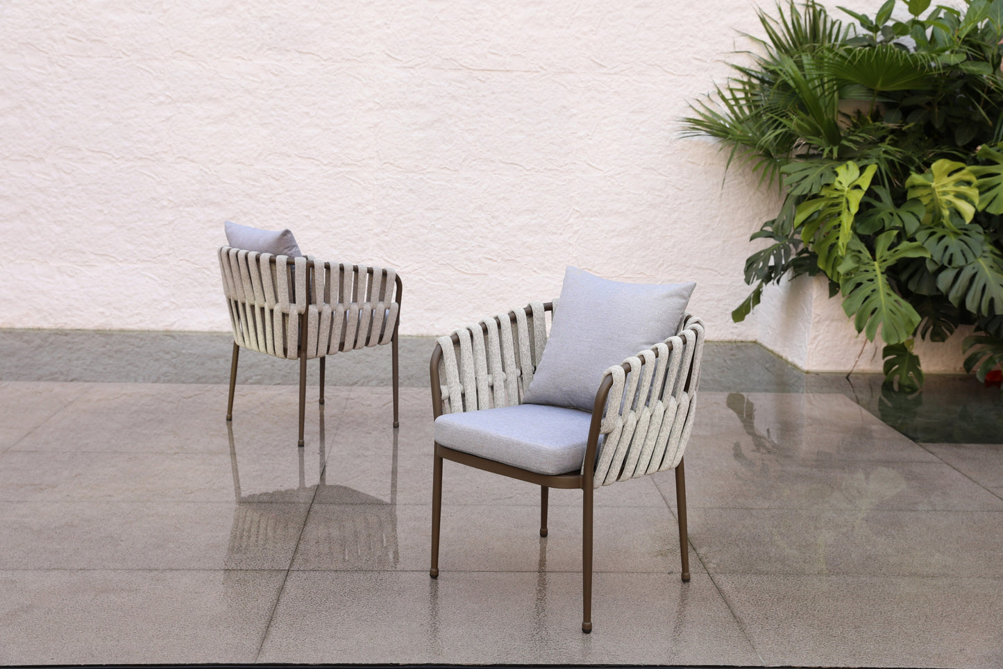 Dining Chair-2