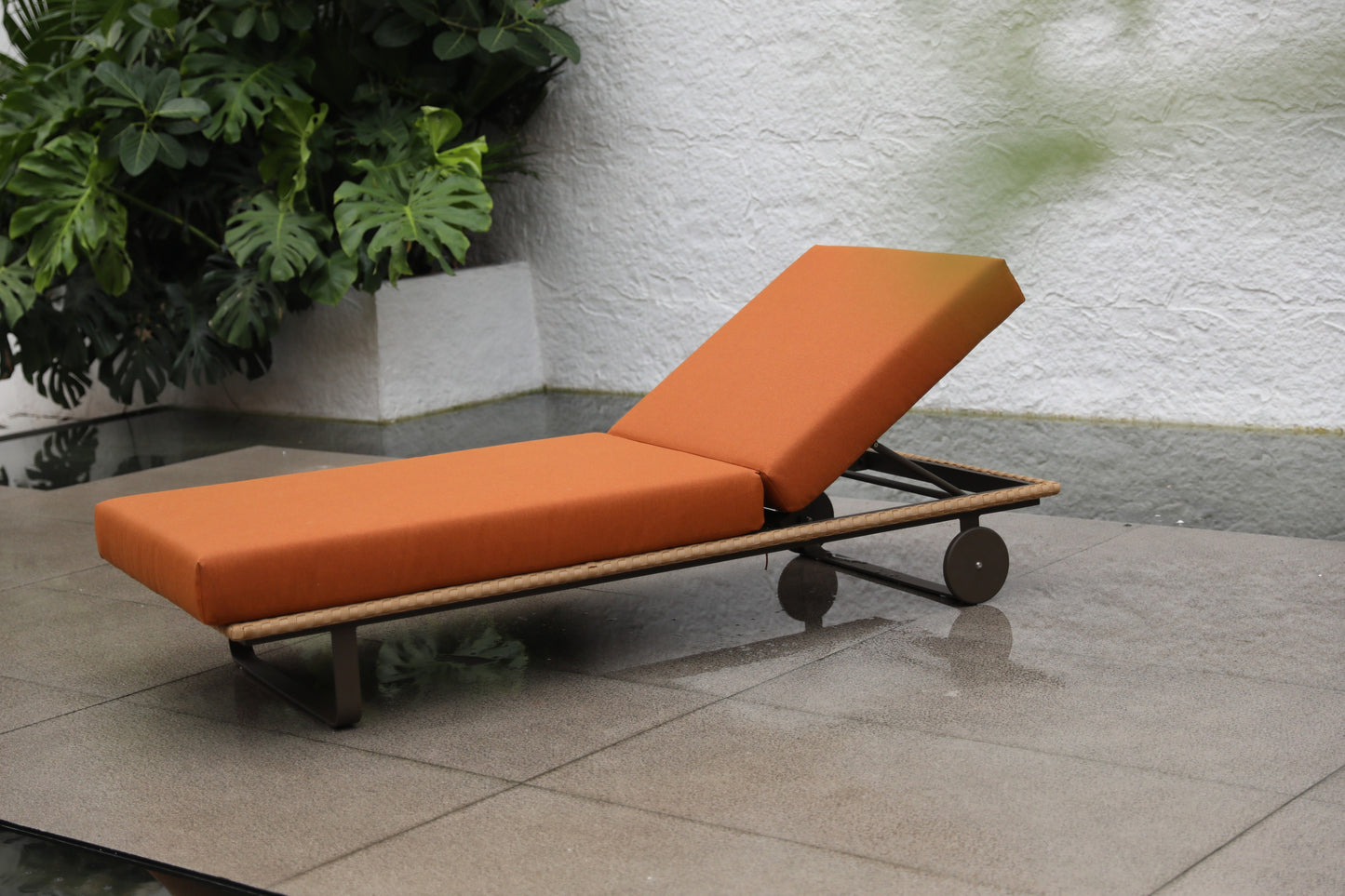 Sun Loungers 65