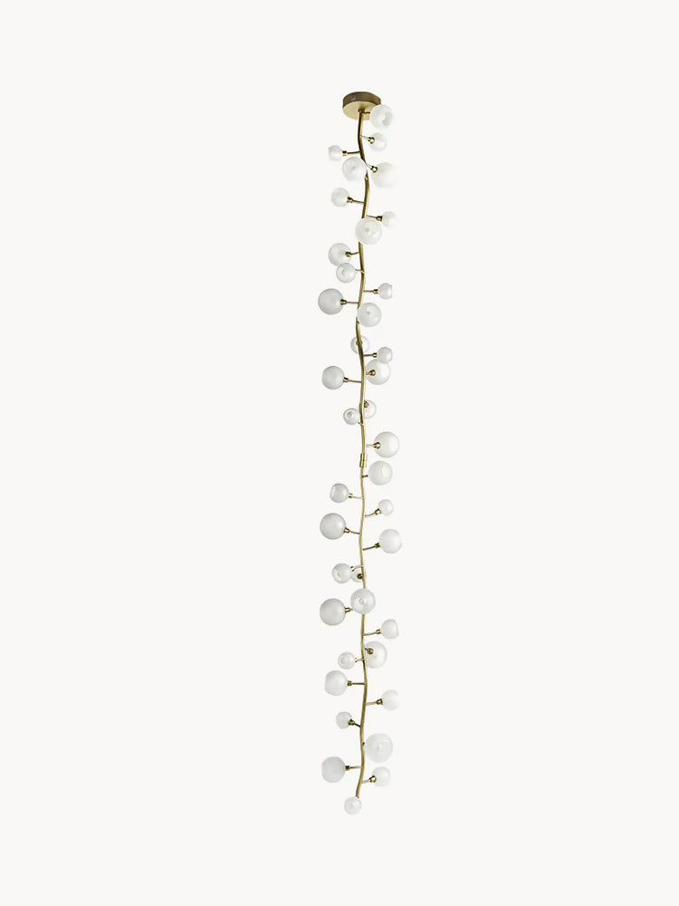 Roberto Cavalli White Berry Lighting