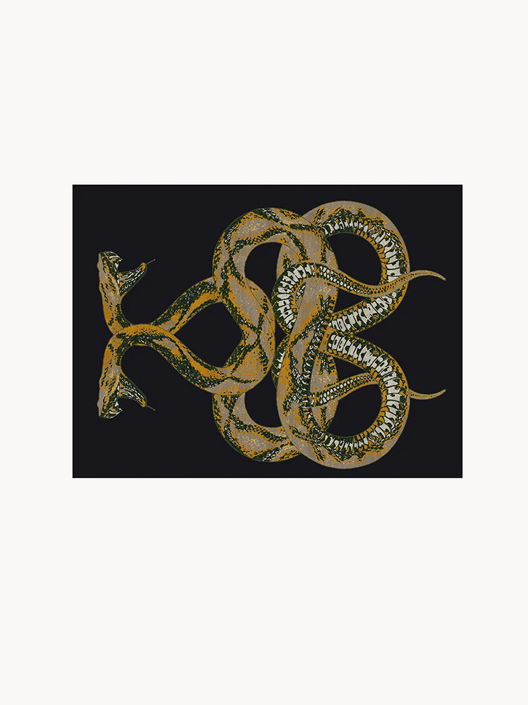 Roberto Cavalli Anake Rug