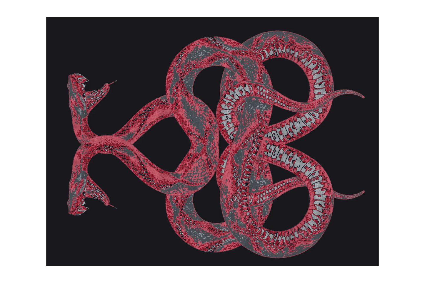 Roberto Cavalli Anake Rug