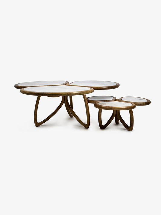 Alma De Luce Roatan Coffee Table