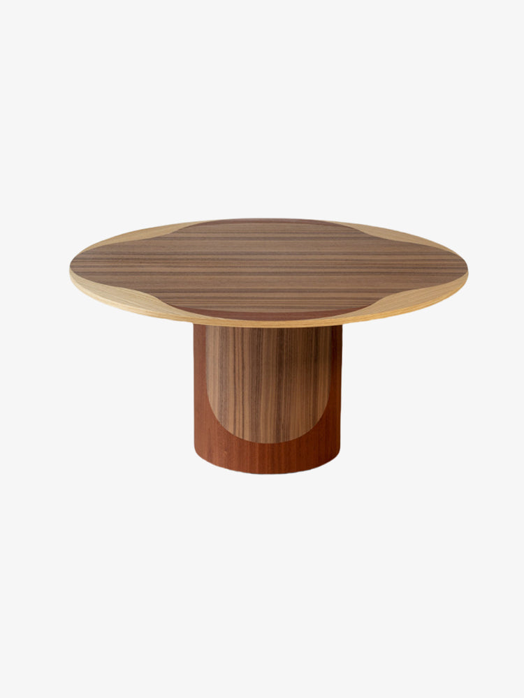 Bruno Moinard Editions Leyden Coffee Table