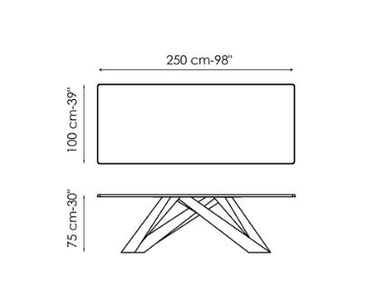 Bonaldo Big Dining Table