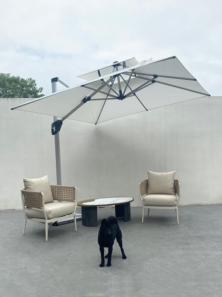 Parasol 6