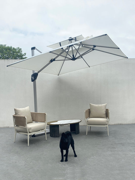 Parasol 6