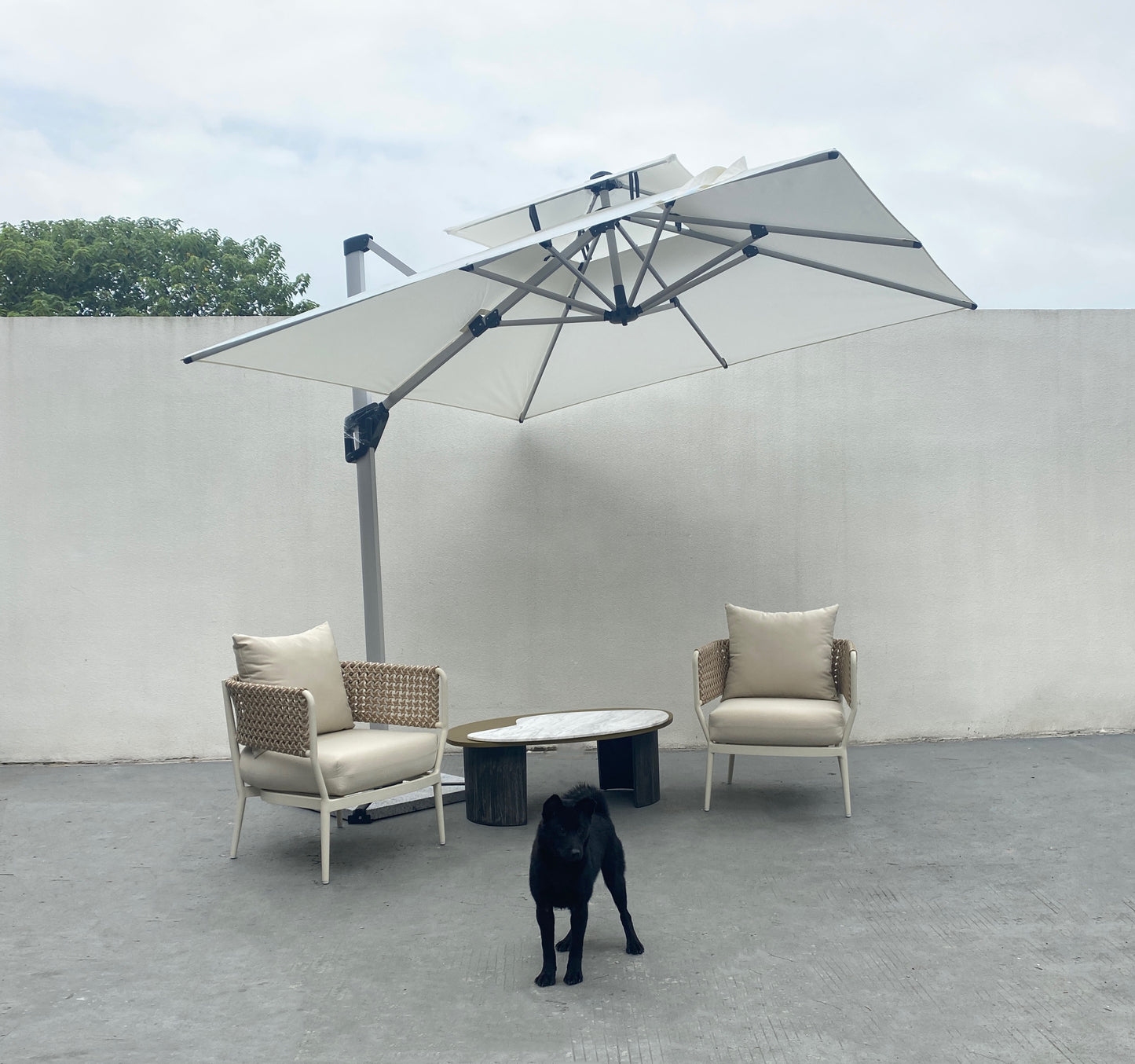 Parasol 6