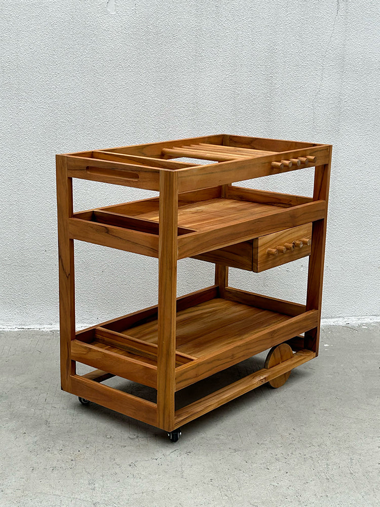 Pushing food cart  10