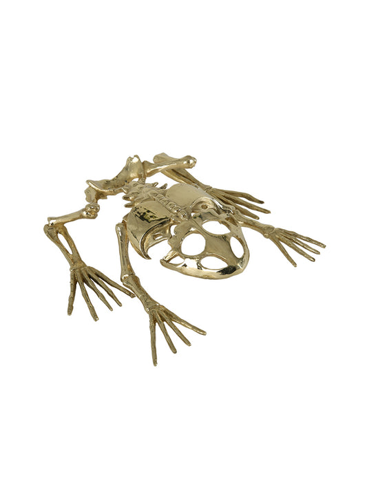 JS417X01 skeleton ornament
