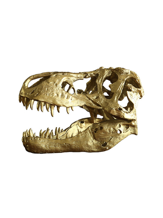 S551X01 dinosaur skull ornament