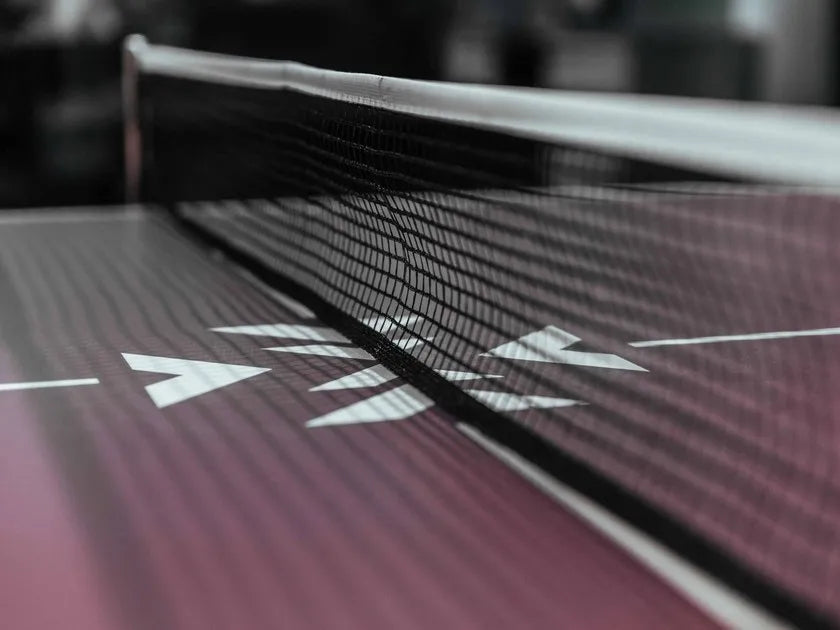 Vismara Design Arena Ping Pong Table