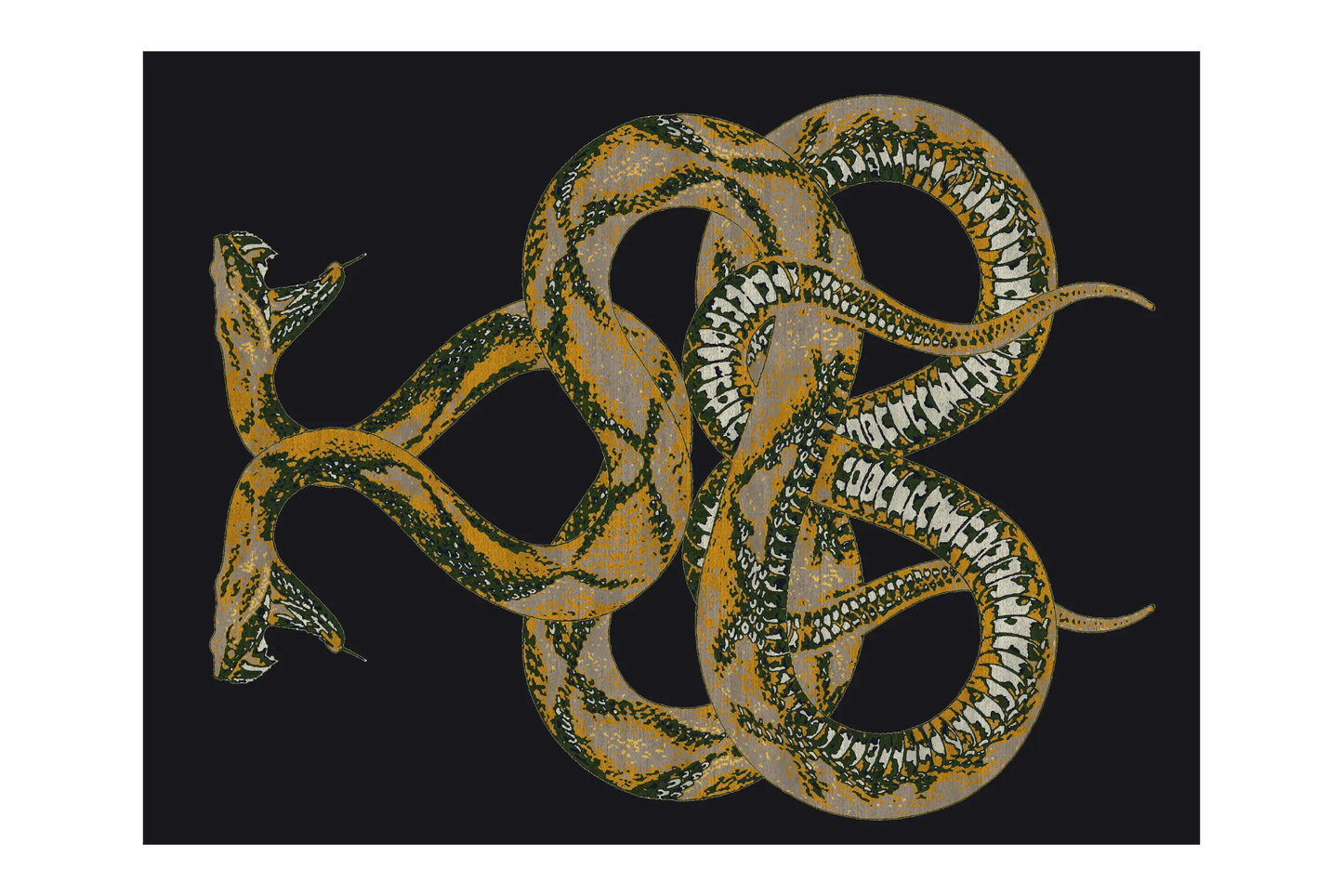 Roberto Cavalli Anake Rug